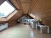 Bildschöne Maisonette mit großer Dachterrasse! - Spitzboden